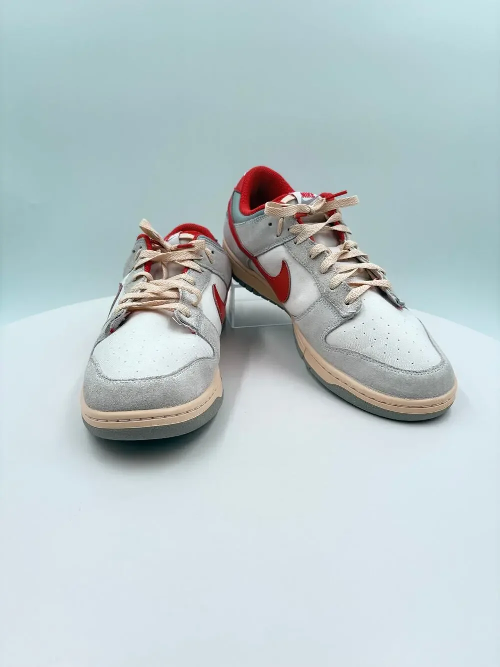 Nike Dunk Low Athletic Department 85